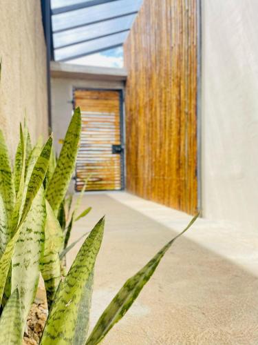 Alto Paraiso de Goias House | Pousada Casa Libertas