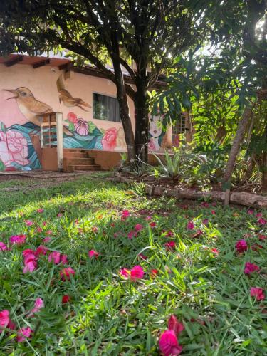 Alto Paraiso de Goias House | Pousada Recanto dos Sonhos