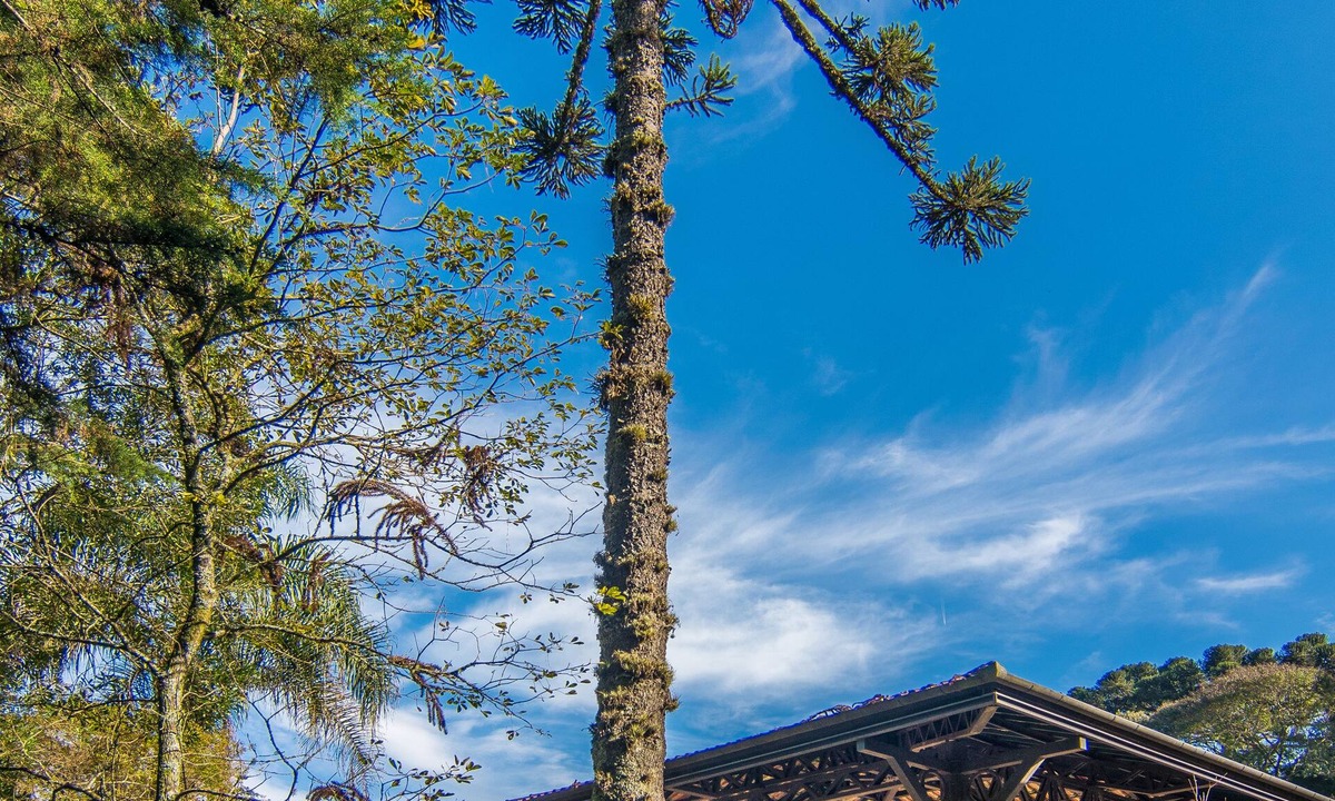 Tres Pinheiros Hotel | Pousada Rosa Gramado