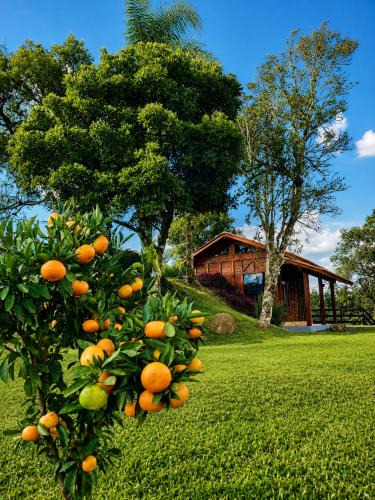 Campo Alegre Cabin | Refúgio Rural Ipê Lago e Fogueira ao Ar Livre