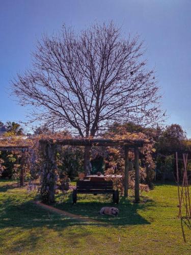Concordia Ski Chalet | Rincón Campestre Enjoy nature and relax