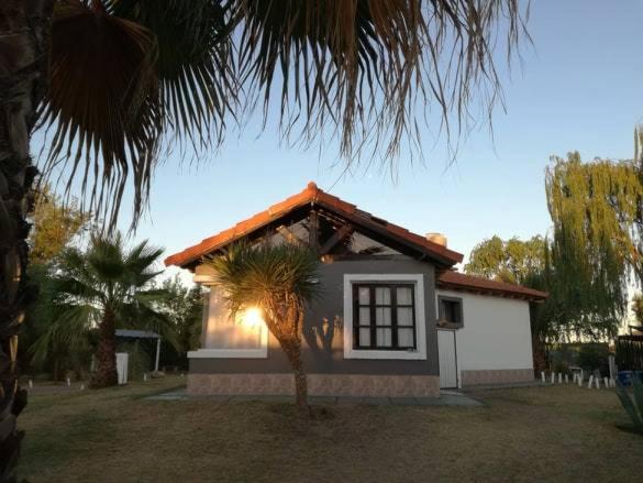 Cuadro Nacional House | Sangiovese II
