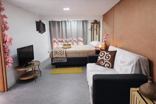 Ipiranga Apartment | Studio no Ipiranga- São José SC - 18Km de Floripa
