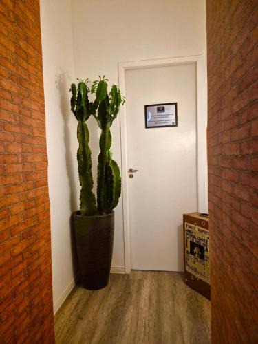 Pinheiros Hostel | Vilarejo Hostel Pinheiros Guest House