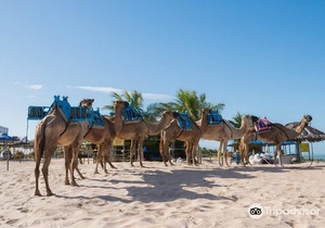 Yak Beach Hotel Natal in Natal