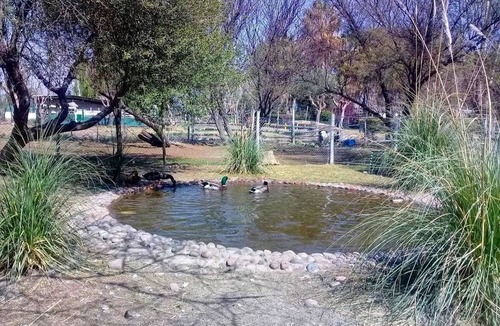 Palmira House | 3-bedroom house in adorable Maipu with WiFi, fitness room