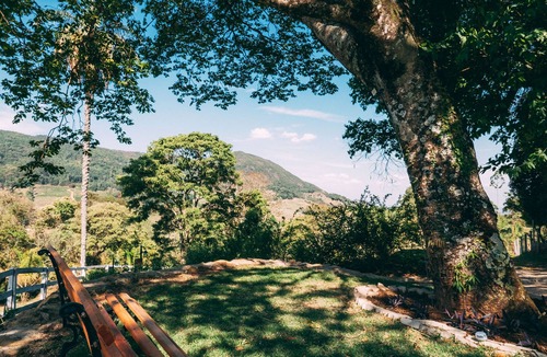 Caldas Cottage | 50,000 square meter property located 18 km from the center of Poços de Caldas.