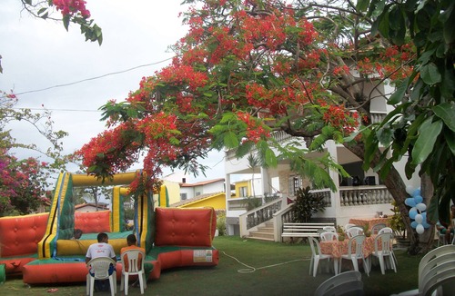 Ipitanga House | 7/4 suites, 900m from the beach, with pool, barbecue, surrounded by nature, sleeps 20.