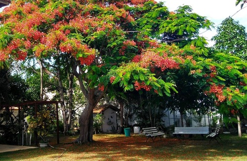 Ipitanga House | 7/4 suites, 900m from the beach, with pool, barbecue, surrounded by nature, sleeps 20.