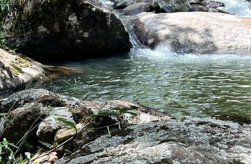 Itamonte House | A luxurious getaway surrounded by lush nature in the Mantiqueira Mountains