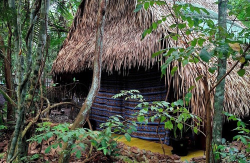 Alter do Chao Cabin | A tortoise's house in an Enchanted Forest. Reconnect