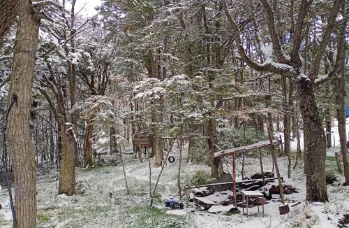 Province of Tierra del Fuego Bed & Breakfast | Adonai