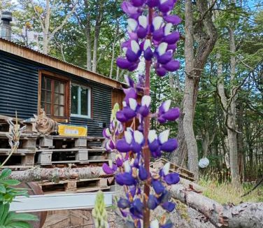 Province of Tierra del Fuego Bed & Breakfast | Adonai