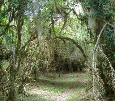 Tavares House | Aldeia Santuario das Aves