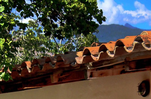 Cafayate Bed & Breakfast | Algarroba B&B