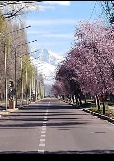 Tupungato Apartment | Alojamiento hermoso en el centro de Tupungato vista incomparable