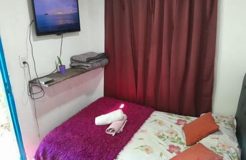 Almirante Brown Apartment | Alojamiento Piecita bajo el Ciruelo
