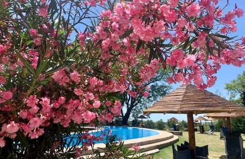 San Pedro Apartment | Apart Club SAN Pedro. RÍO Paraná. Piscina. Balcón, Parrilla. Barrio Privado