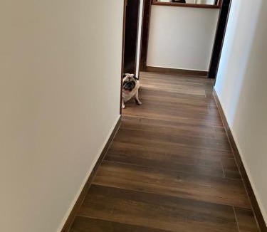 Caioba Apartment | Apartamento Caiobá ótima localização
