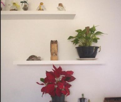 Vargem do Bom Jesus Apartment | Apartamento de Praia