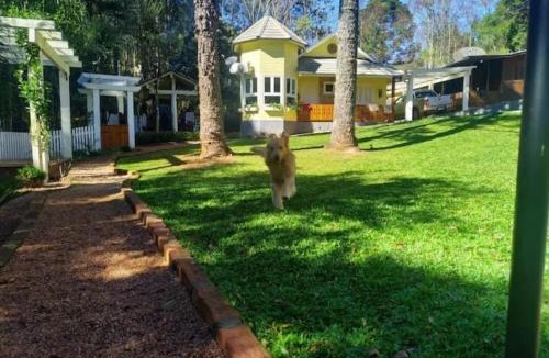 Gramado Apartment | Apartamento do lago