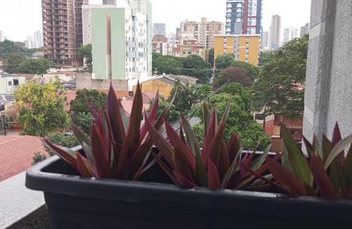 Maringa Apartment | Apartamento em Maringá zona 07, próximo da universidade UEM