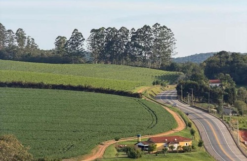 Sao Roque Apartment | Apartamento Rota do Vinho Vista para plantações de uvas