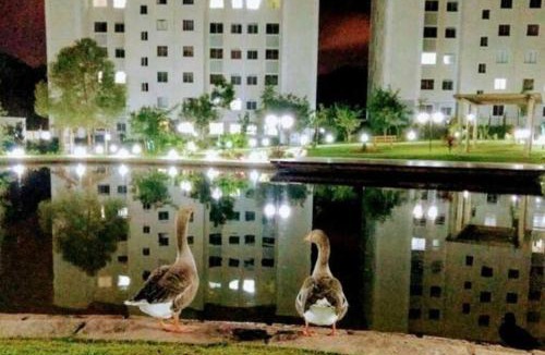 Pinheirinho Apartment | Apto completo em condomínio clube com 2 vagas de garagem I Lazer para toda família