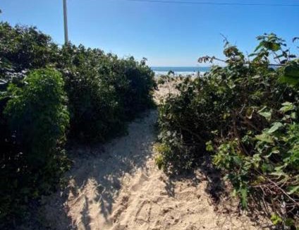 Ingleses Centro Apartment | Aptos Pé na areia