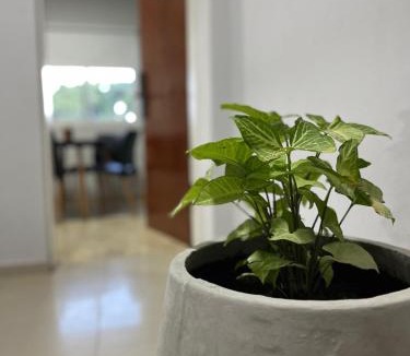 Catamarca Apartment | Departamentos Güemes