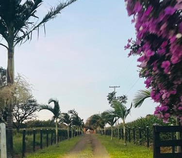 Rolandia House | Bangalô Rancho Ouro Verde