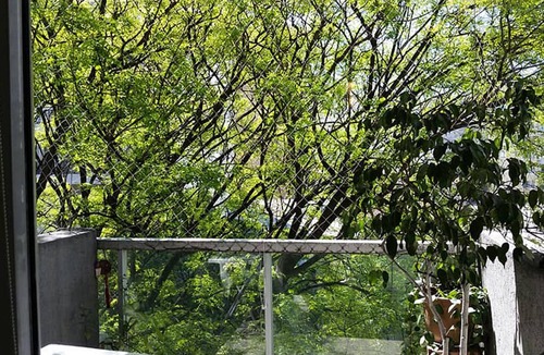 Flores House | BEAUTIFUL AND COMFORTABLE APARTMENT IN BUENOS AIRES CITY