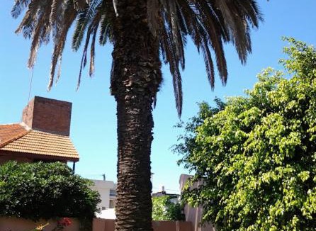 Vicente Lopez Bed & Breakfast | Bed & breakfast Familia San Martín