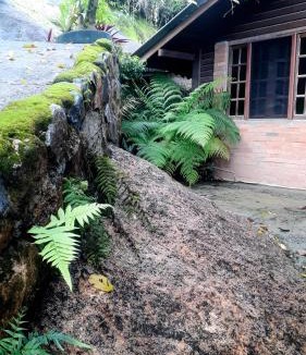 Governador Celso Ramos House | Berto's House HOSTEL