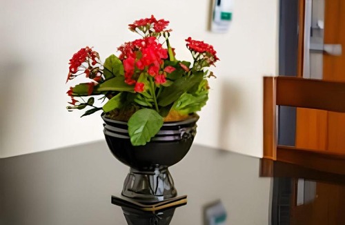 Bigorrilho Apartment | Bigorrilho Petfriendly Perto Barigui