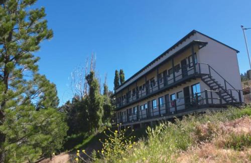 Junin de los Andes Apartment | Bosque patagonico