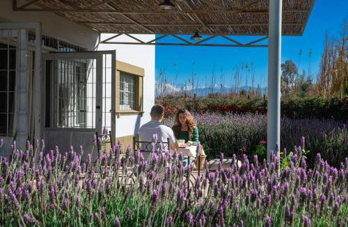 Maipu Villa | Boutique Vineyard and Wine Lodge
