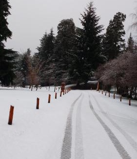 San Carlos de Bariloche Cabin | Cabaña con costa de lago