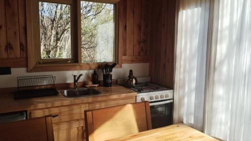 Lanin National Park Ski Chalet | Cabaña de Montaña con Parrilla y Vista al Atardecer - Andes Alquileres