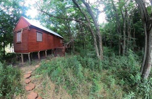 Victoria House | Cabaña Natural Del Bosque