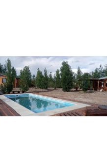 Uspallata Apartment | Cabañas Angualasto