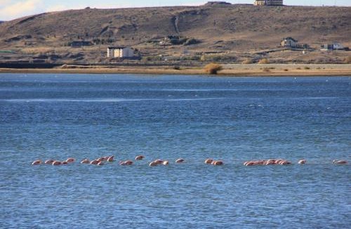 Macrozona Bahia Redonda y Primeros Faldeos Cabin | Cabañas Bahía Marina
