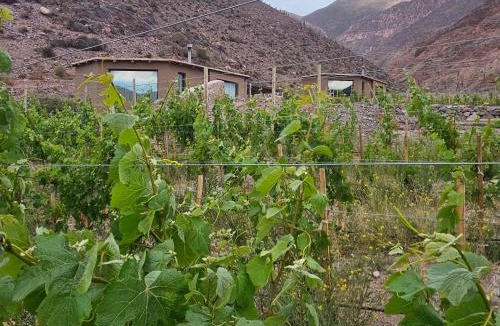 Tilcara House | Cabañas Bodega Kindgard