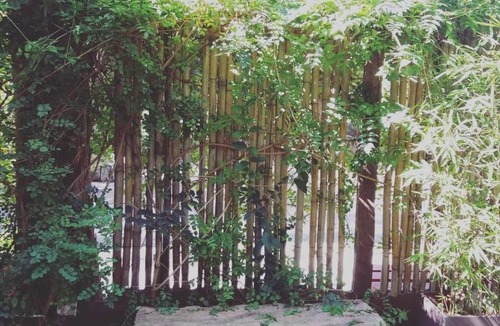 Bosque Peralta Ramos Cabin | Cabañas Bosk