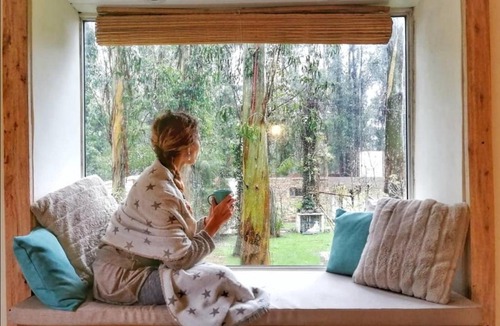 Bosque Peralta Ramos Cabin | Cabañas Bosk