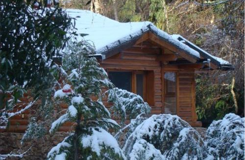Playa Bonita Cabin | Cabañas En el Corazón del Bosque