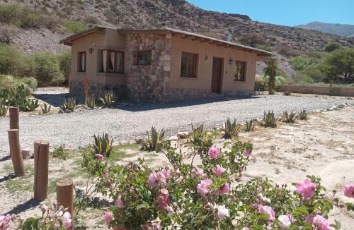 Tilcara House | Cabañas La Nochera