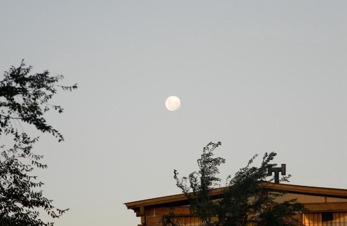 Villa Giardino Cabin | Cabañas Ojos del Viento
