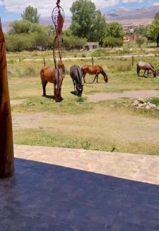 Humahuaca House | Cabañitas EL REPOSO HUMAHUACA