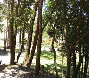 Corrego do Bom Jesus Ski Chalet | Cabana Forest Montana- Gonçalves MG
